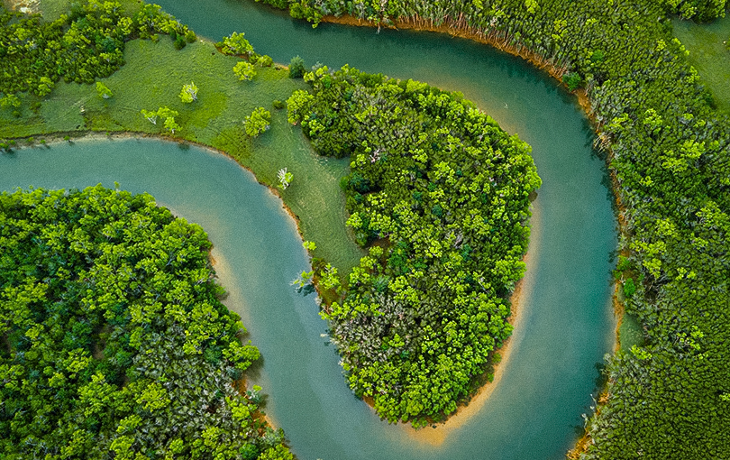 5 experiências inesquecíveis para viver na sua viagem para a Amazônia