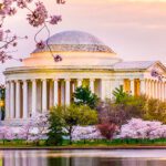 primavera nos estados unidos desvende os dez lugares mais lindos para aproveitar