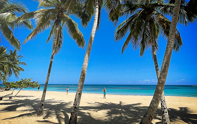 Viajar para o Caribe: conheça mais sobre Samaná (República Dominicana)