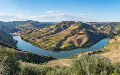 Desvende os bastidores da produção de vinhos em Portugal