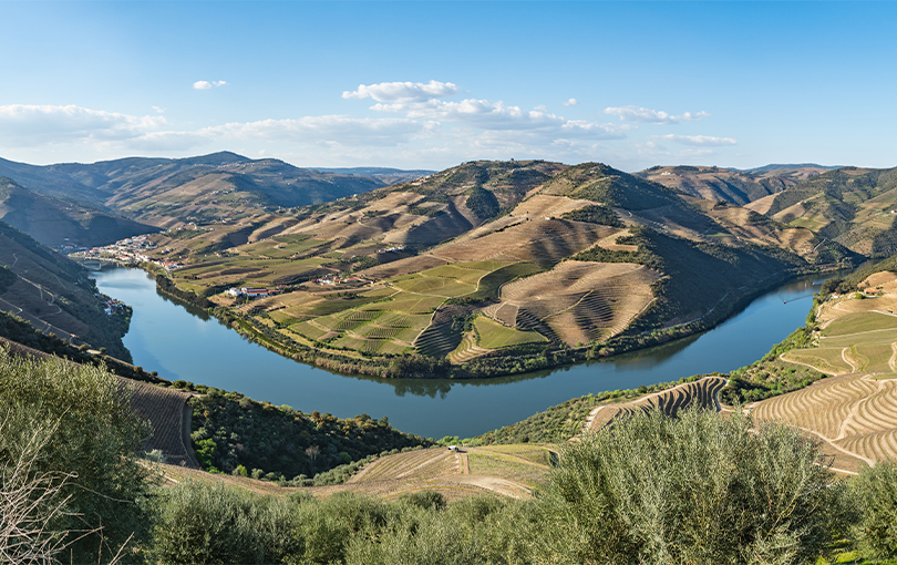 Desvende os bastidores da produção de vinhos em Portugal